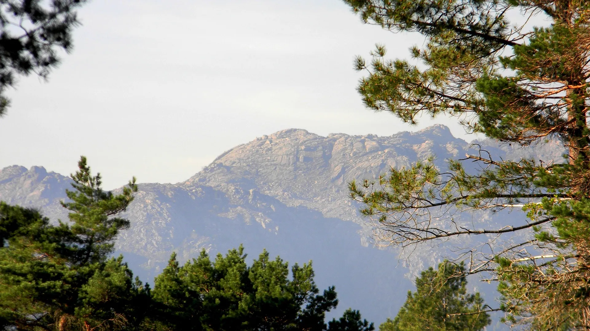 Pine-covered mountain slopes in a protected natural landscape of Portugal