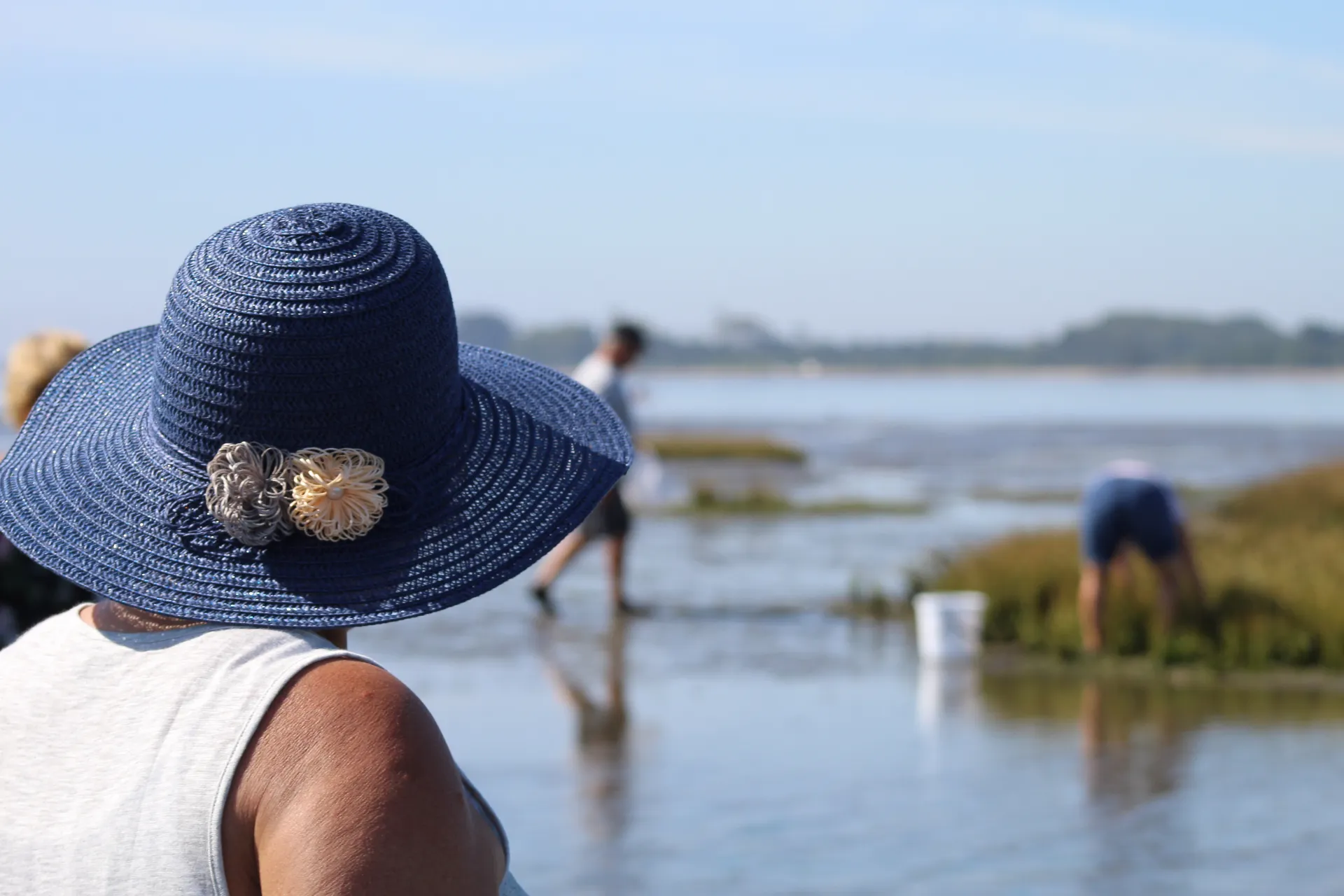 Freshly harvested Atlantic oysters prepared for private tasting